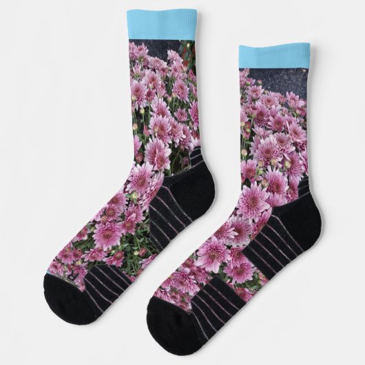 BLUME SOCKEN (Links)