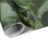 Blume Solanum tuberosum Geschenkpapier (Rolleneckpunkt)