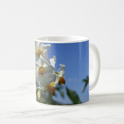 Blume Solanum tuberosum Kaffeetasse (VorderseiteRechts)