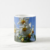Blume Solanum tuberosum Kaffeetasse (Mittel)