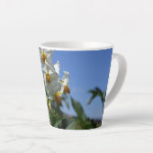 Blume Solanum tuberosum Milchtasse (Rechte Ecke)