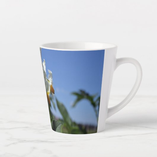 Blume Solanum tuberosum Milchtasse (Rechts)