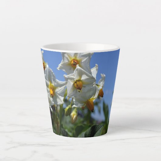 Blume Solanum tuberosum Milchtasse (Vorderseite)