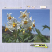 Blume Solanum tuberosum Seidenpapier (Handwerk)