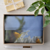 Blume Solanum tuberosum Seidenpapier (Geschenk)