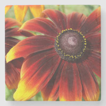 Blume Sommer Foto Marmorboden Untersetzer