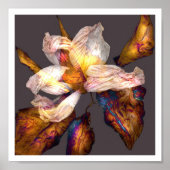 Blume Song Poster (Vorne)