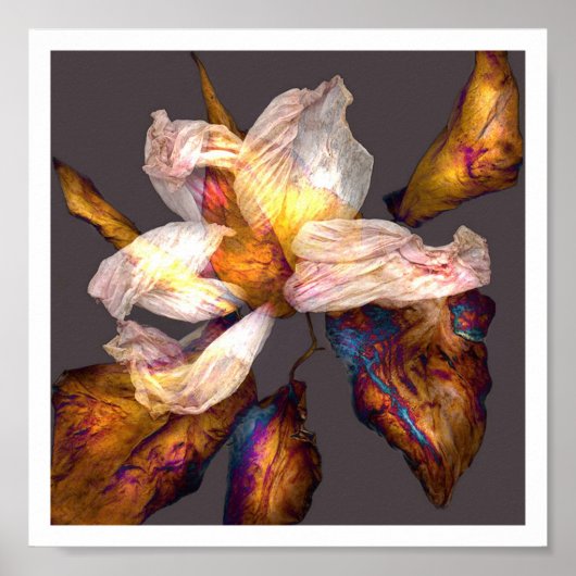 Blume Song Poster (Vorne)