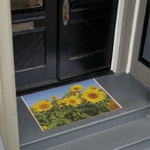 Blume, Sonne, Pflanze, Natur, Sommer,