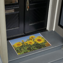 Blume, Sonne, Pflanze, Natur, Sommer, Fußmatte