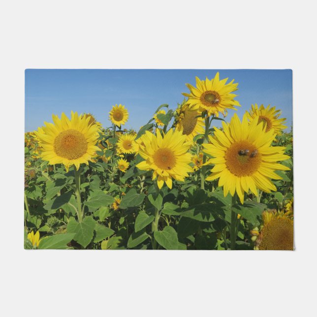 Blume, Sonne, Pflanze, Natur, Sommer, Fußmatte (Vorderseite)