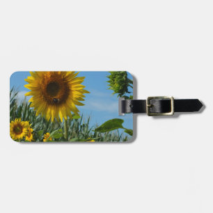 Blume, Sonne, Pflanze, Natur, Sommer, Gepäckanhänger