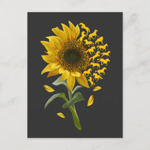 Blume Sonnenblumen Racing Reitsport Reitsport Reit Postkarte