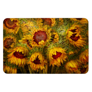 Blume - Sonnenblumen - Sie sind mein einziger Sonn Magnet