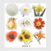 Blume-Sortiment in Weißgelb-Orange Aufkleber (Blatt)