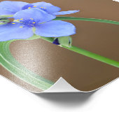 Blume Spiderwort Fotodruck (Ecke)