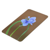 Blume Spiderwort Magnet (Linke Seite)