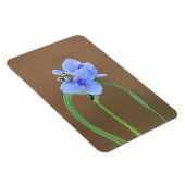 Blume Spiderwort Magnet (Rechte Seite)