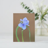 Blume Spiderwort Postkarte (Stehend Vorderseite)