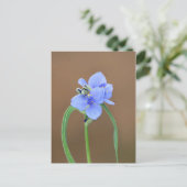 Blume Spiderwort Postkarte (Stehend Vorderseite)