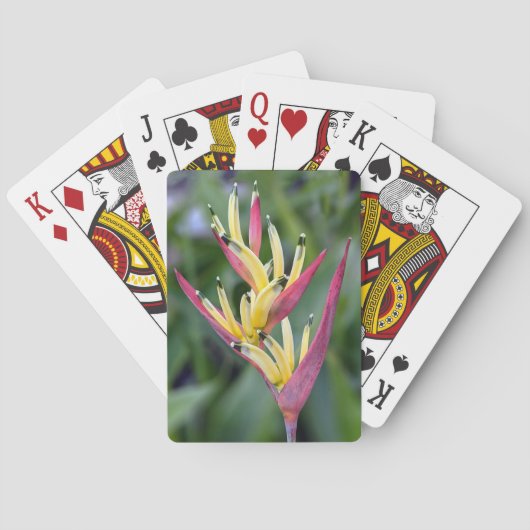 Blume Spielkarten (Rückseite)