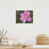 Blume St. Croix Poster (Küche)