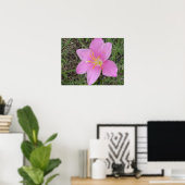 Blume St. Croix Poster (Heimbüro)