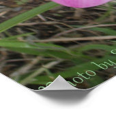 Blume St. Croix Poster (Ecke)