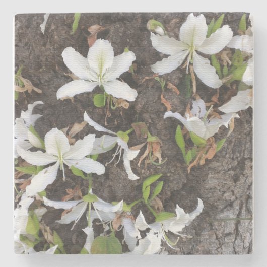 Blume Steinuntersetzer (Vorderseite)