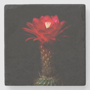 Blume Steinuntersetzer