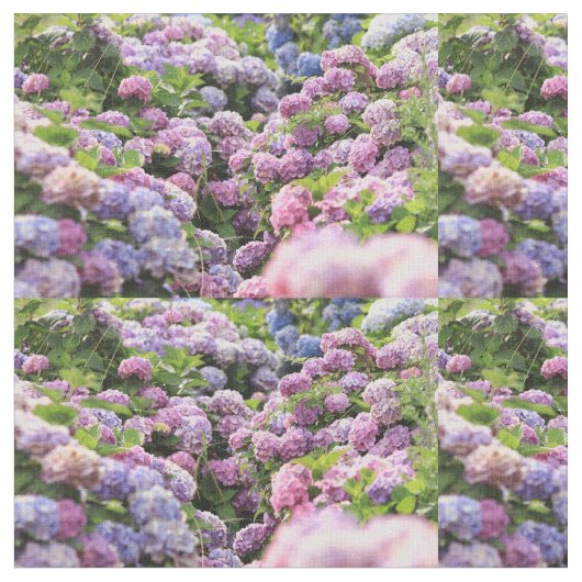 Blume Stoff ! (Nahaufnahme)