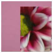 Blume Stoff (Muster)