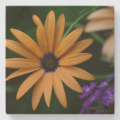 Blume Stone Untersetzer (Vorderseite)