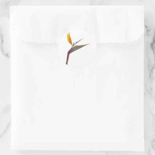 Blume (Strelitzia reginae) Runder Aufkleber (Tasche)