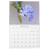 Blume Südkaliforniens SoCal-Kalender Kalender (Jan 2027)