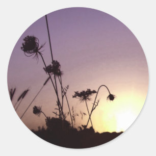 Blume Sunset Stickers