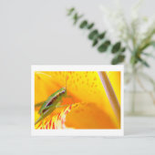 Blume Surfer Postkarte (Stehend Vorderseite)