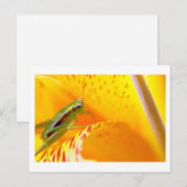 Blume Surfer Postkarte (Vorne/Hinten)