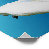 Blume Swan und Hibiskus hinzufügen Poster (Ecke)