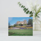 Blume Tamworth Postkarte (Stehend Vorderseite)