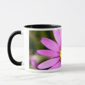 BLUME TASSE II (Links)