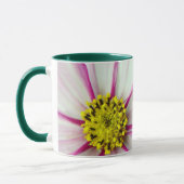 BLUME TASSE III (Links)