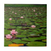 Blume-Teiches Fliese (Vorderseite)