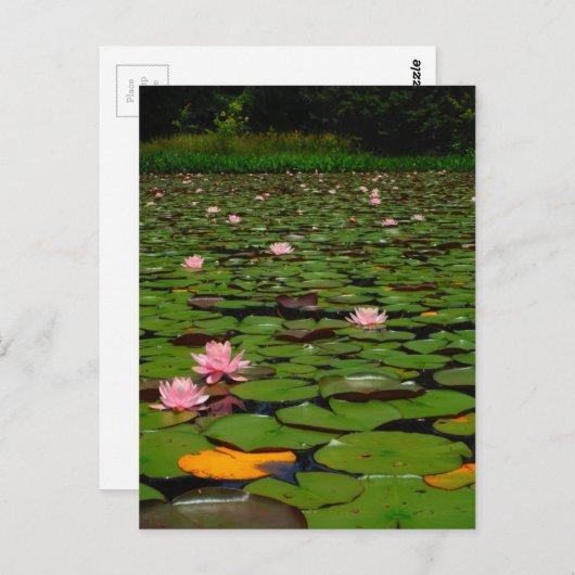 Blume-Teiches Postkarte (Vorne/Hinten)