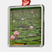 Blume-Teiches Silbernes Ornament (Links)