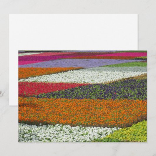 Blume Teppich Feiertagskarte (Vorne/Hinten)