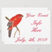 Blume Thunder_Cove (Vorne/Hinten)