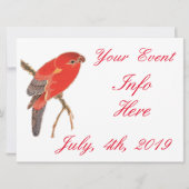 Blume Thunder_Cove (Vorderseite)