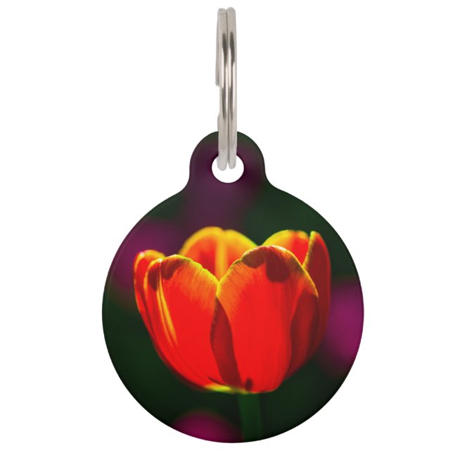 Blume Tiermarke (Vorderseite)