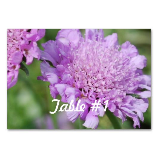 Blume Tischnummer (Vorderseite)